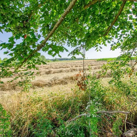 Le Clos Sainte-victoire * Montaulin